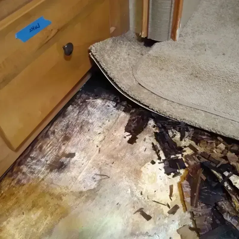 Best Wood Floor Water Damage Service in Wesley Chapel, FL